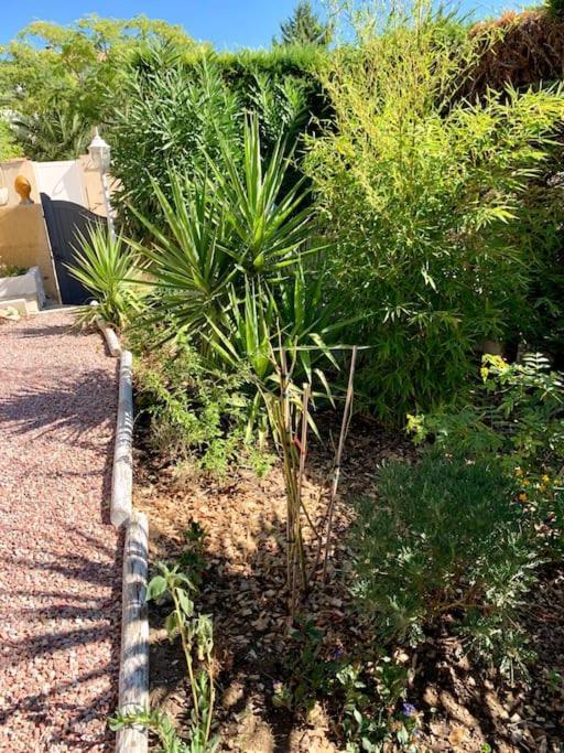 Charmante Villa Avec Une Ame. Pignan Exterior foto